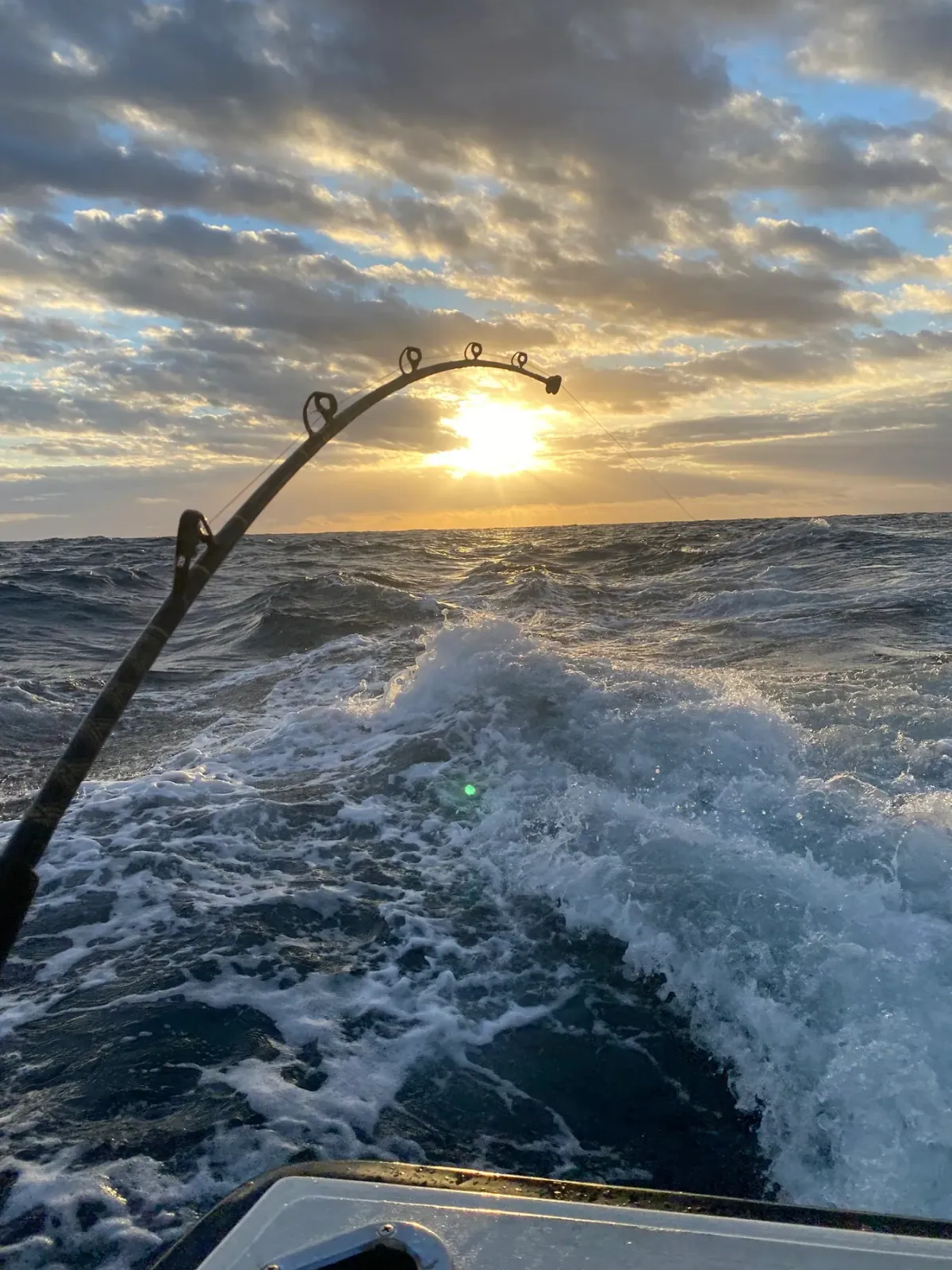 A rod bent into a fish as the sun drops over the water off Pompano Beach