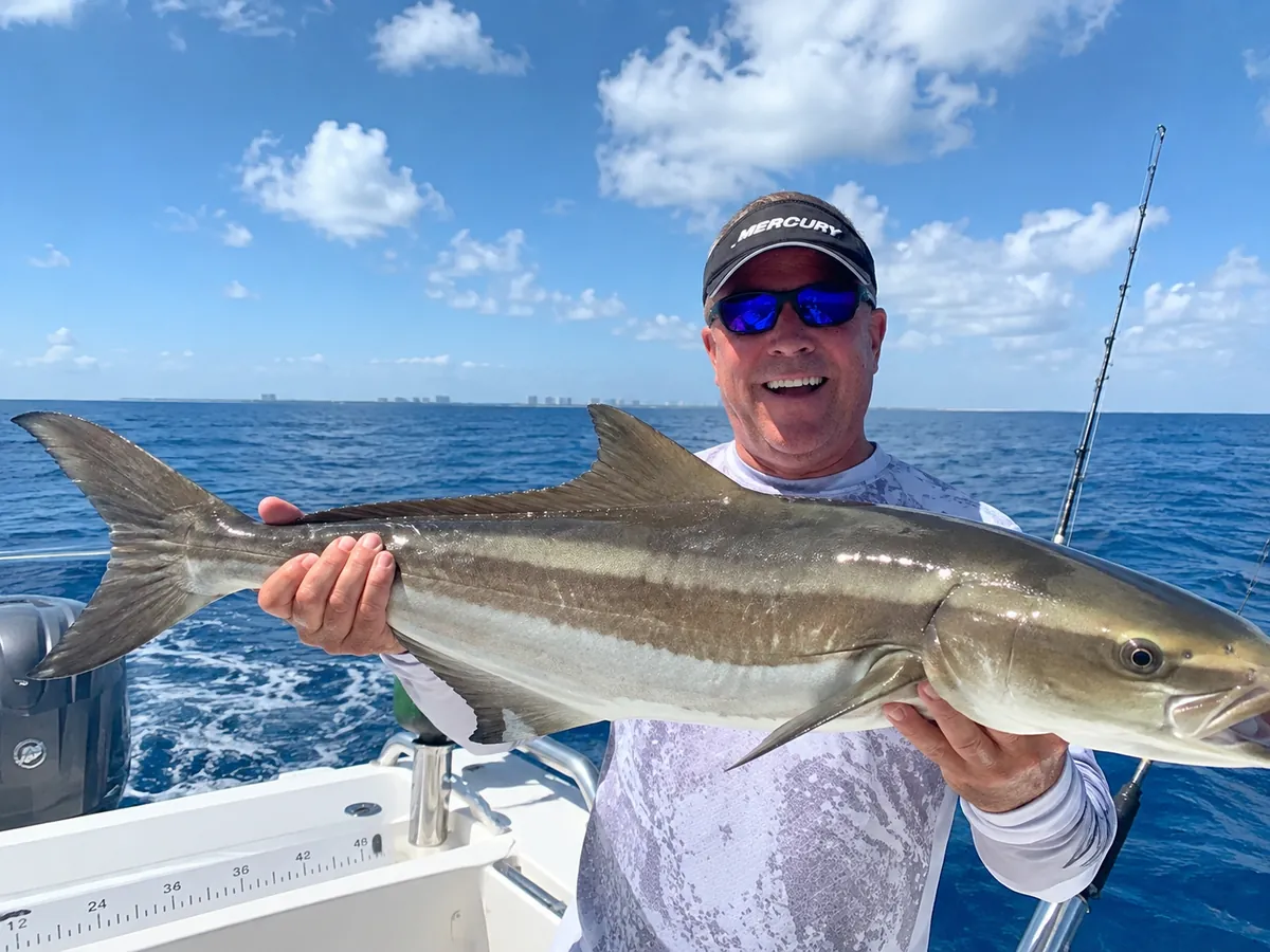An angler holding a long cobia aboard with the South Florida coastline on the horizon